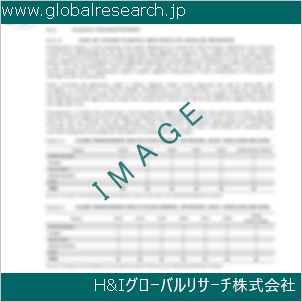 グローバルリサーチ調査資料のイメージ